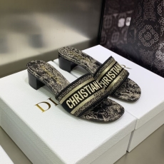 Christian Dior Slippers